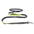 Dog Walking Belt with Detachable Shockproof Leash