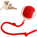 Smart Rolling Pet Ball